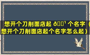 想开个刀削面店起 🌹 个名字（想开个刀削面店起个名字怎么起）